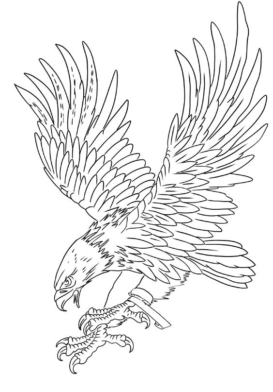 Eagle Tattoo Drawings