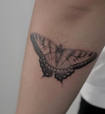 small cute butterfly tattoos