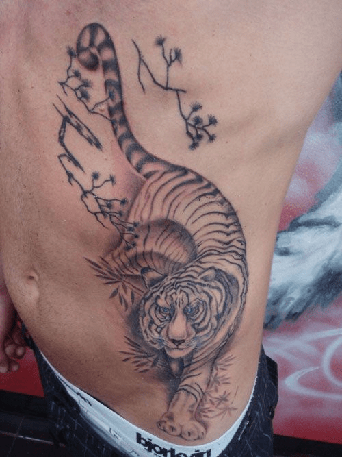 Tiger tattoo located on the rib illustrative style
