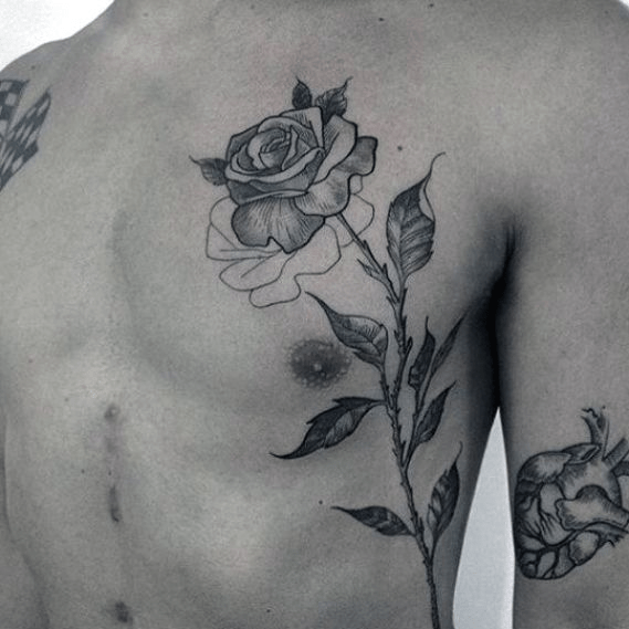 plant_tattoos