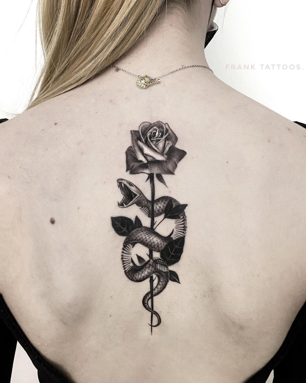 Tattoo uploaded by Gillian  Snake and rose upper backnape of neck   Tattoodo