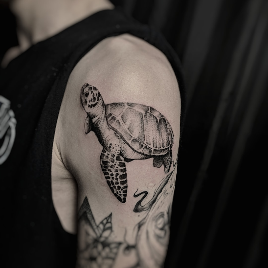21Small  Simple Turtle Tattoo Designs  PetPress