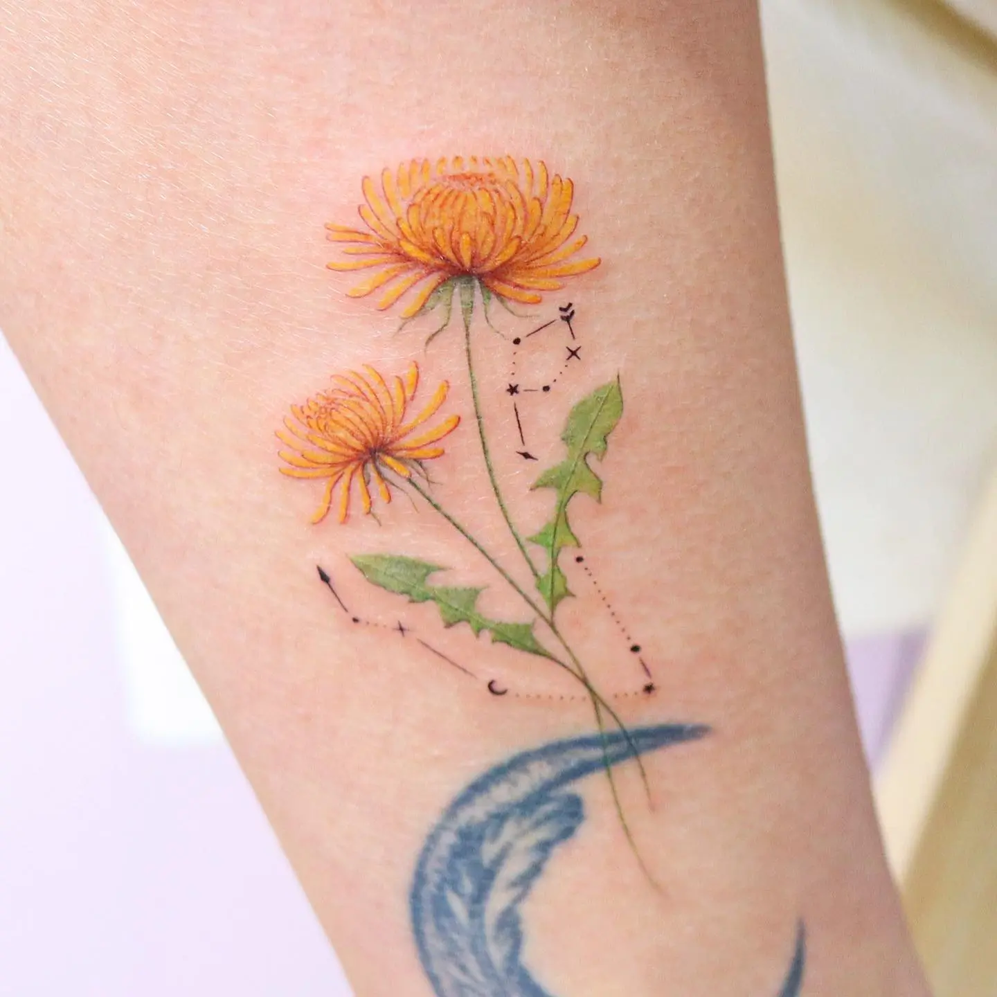 Small Tattoos on Twitter Coloured dandelion tattoo on the right shoulder  blade Tattoo artist Mini Lau smalltatto httpstcotPKE7S7VsY  httpstcozjbnpgIaWL  Twitter
