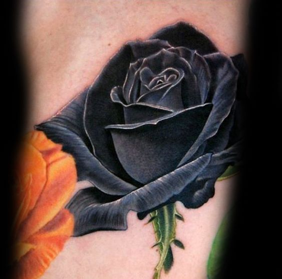 Black rose tattoo meaning

