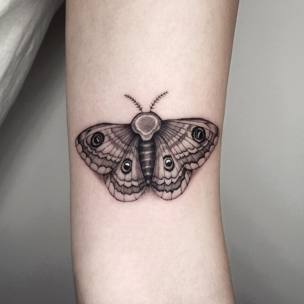 Explore the 50 Best Moth Tattoo Ideas 2018  Tattoodo