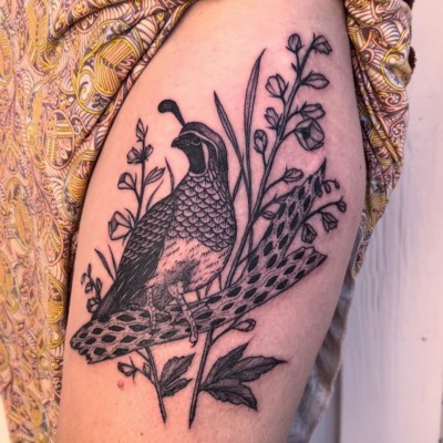 California quail By Claire Evans  Red Kestrel Tattoo San Francisco CA   rtattoos