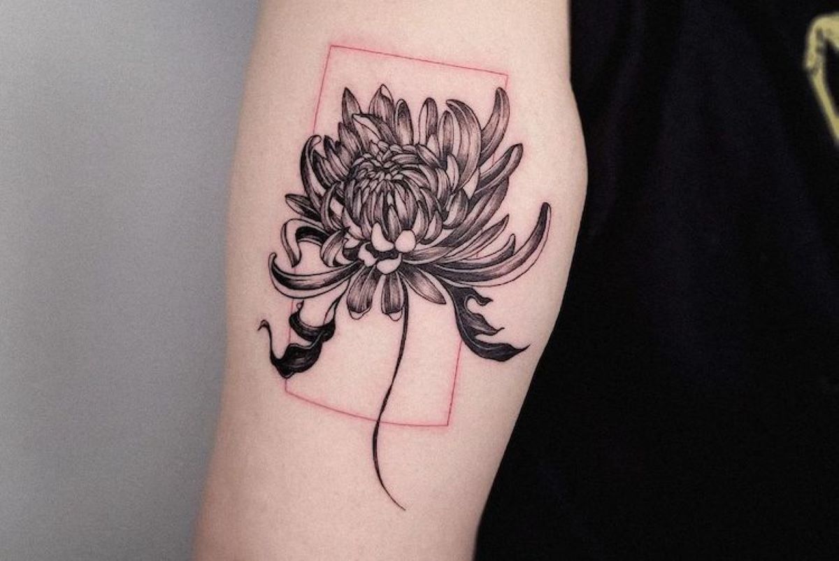3,733 Chrysanthemum Flower Tattoos Royalty-Free Photos and Stock Images |  Shutterstock