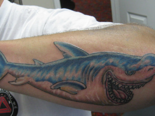Shark tatoo