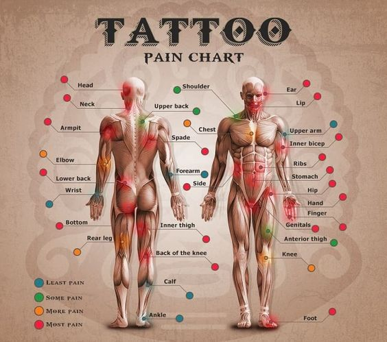 A tattoo pain map for the best experience