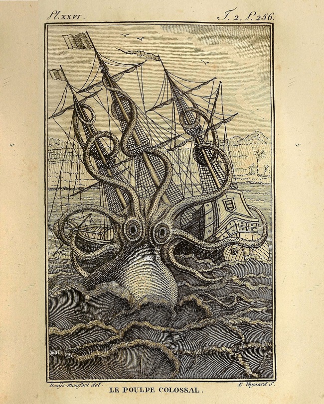 A depiction of the Kraken from the book “Histoire naturelle, générale et particulière des mollusques”