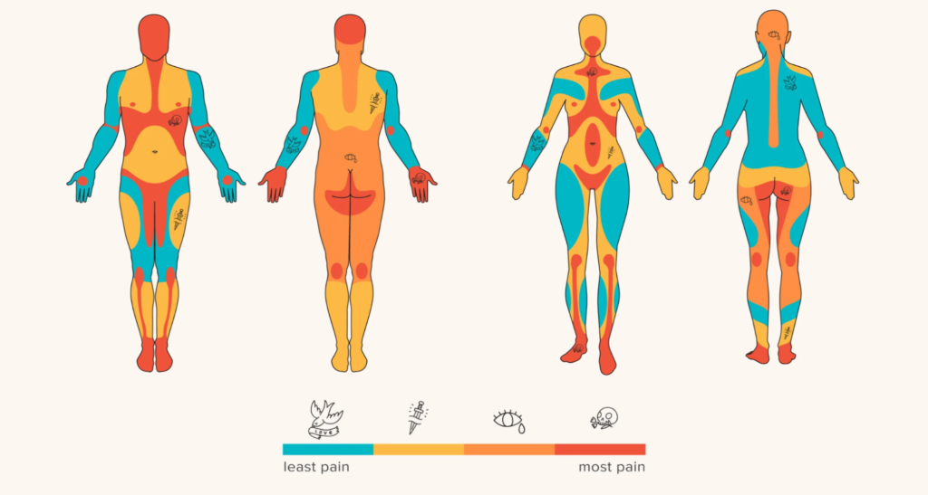 Tattoo pain chart for men and women by Healthline[1]