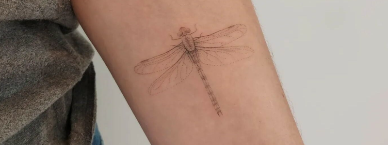 tatuagem de libélula