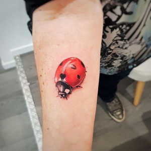 67 Beautiful Ladybug Tattoos On Foot  Tattoo Designs  TattoosBagcom