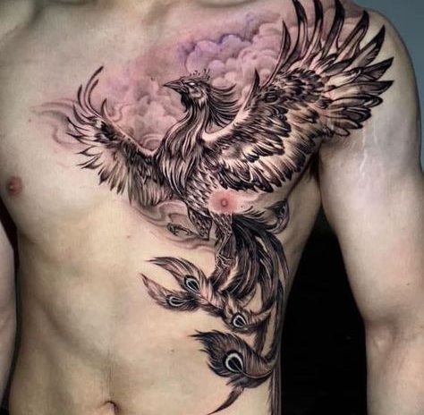 Phoenix Chest Tattoos 25 Cool Chest Tattoos for Men 2013  IndiFocus  Phoenix  tattoo Chest tattoo Cool chest tattoos