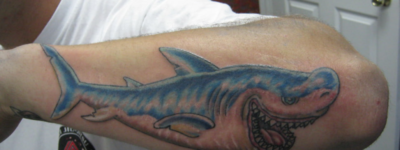Sketch Shark Tattoo Idea  BlackInk