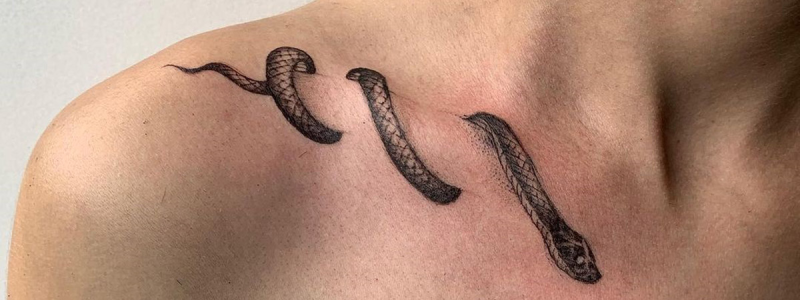 Tiny Black Snake Temporary Tattoo - Set of 3 – Tatteco
