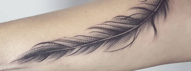50 Beautiful Feather Tattoo Designs  TattooAdore  Feather tattoo design Feather  tattoo ankle Feather tattoos