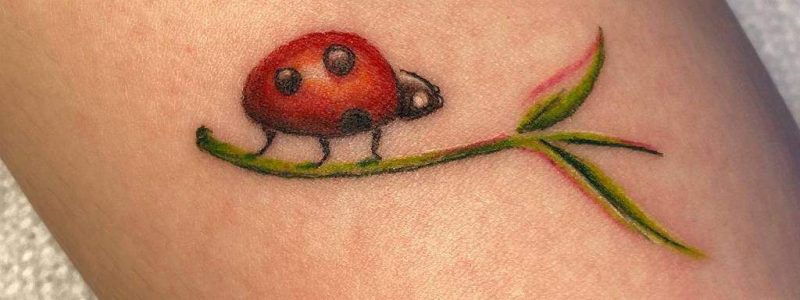 Meaning of a ladybug tattoo